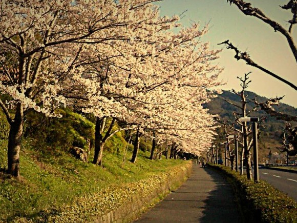 th_市立大学前_Fotor